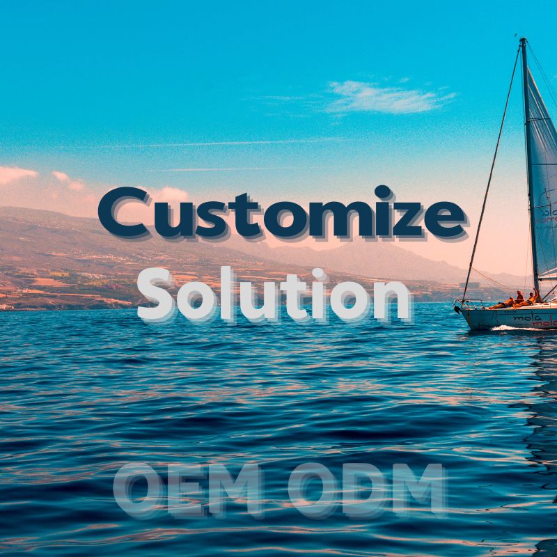 OEM Customization fee the balance payment link
